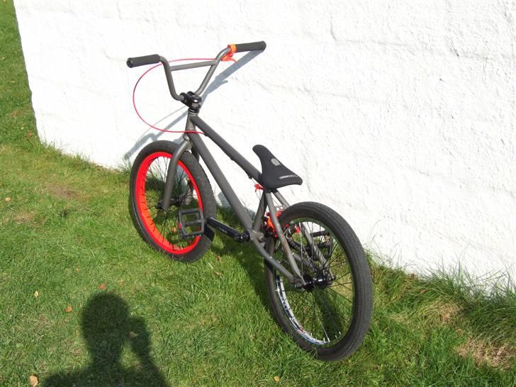 Wethepeople Trust 08 billede 3