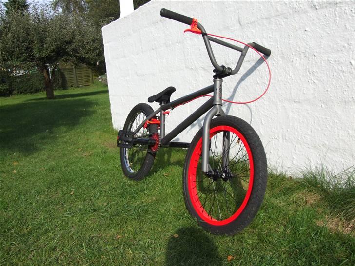 Wethepeople Trust 08 billede 7