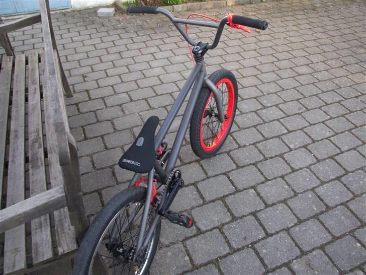 Wethepeople Trust 08 billede 12