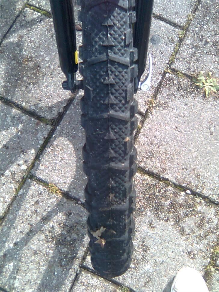 Busetto High Pro billede 13