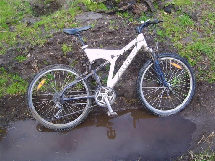 Mustang Arezzo tech line - 24 billede 15