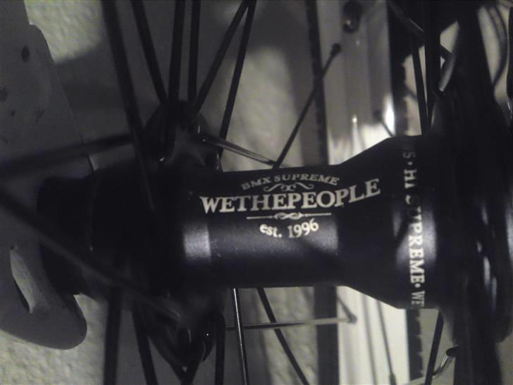 Wethepeople trust 09 billede 10