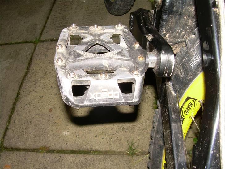 CMP supermoto 03 billede 6