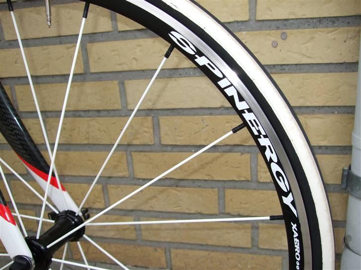 Kuota Kredo Ultra billede 6