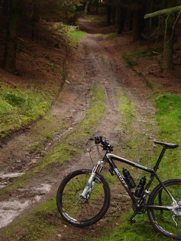 Scott Scale 30 (Solgt) billede 16