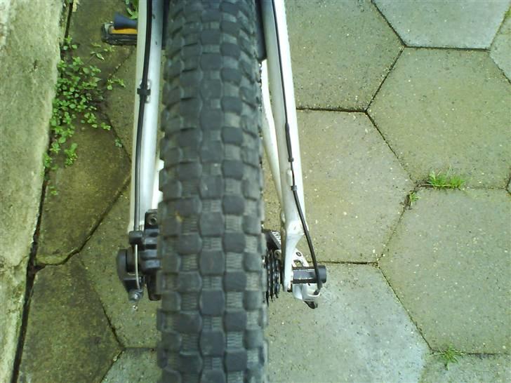 Nishiki shot billede 9