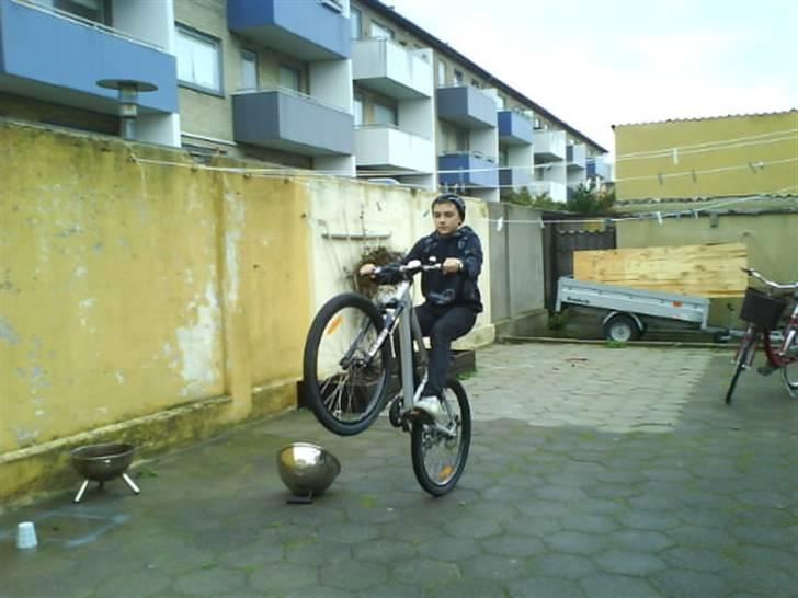 Nishiki shot billede 15