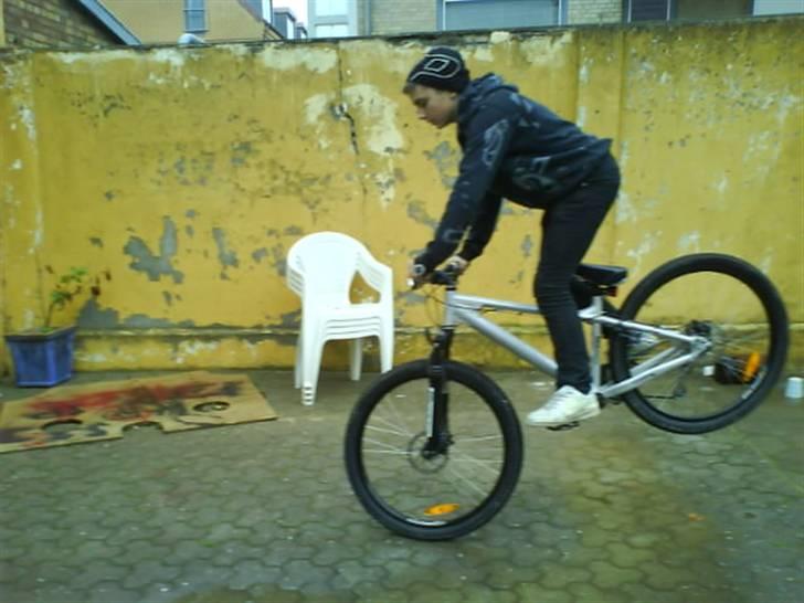 Nishiki shot billede 16