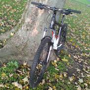 Giant Terrago 1 Disc