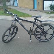 Busetto Pro SOLGT FOR 2000