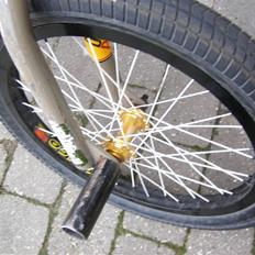 Wethepeople Addict/Akira
