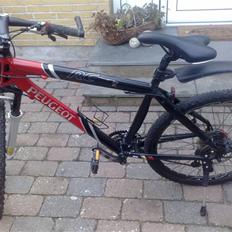 Peugeot Rc