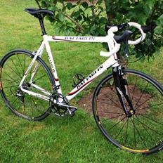 Battaglin Stealth (SOLGT)