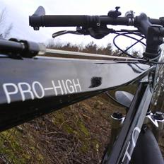 Busetto Pro High