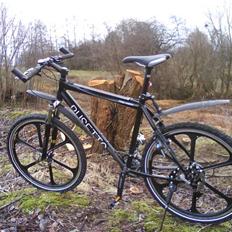 Busetto Pro High