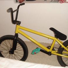 Wethepeople 4Seasons