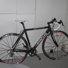 Focus cayo expert campa