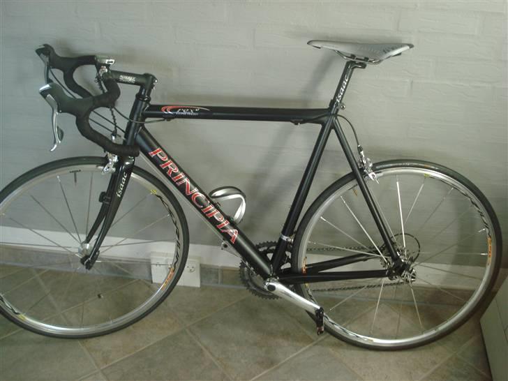 Principia rex  billede 1