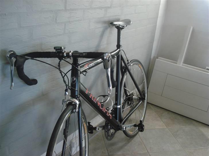 Principia rex  billede 2