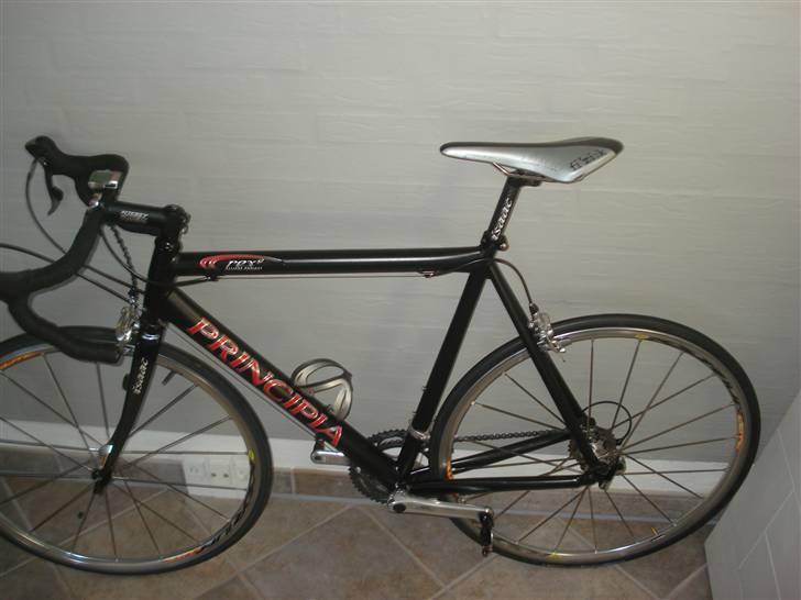 Principia rex  billede 3