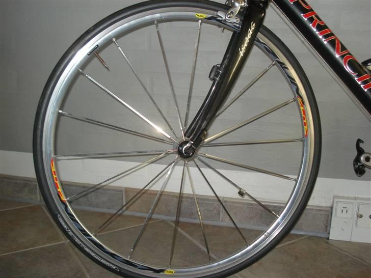 Principia rex  billede 7