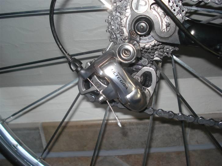 Principia rex  billede 10