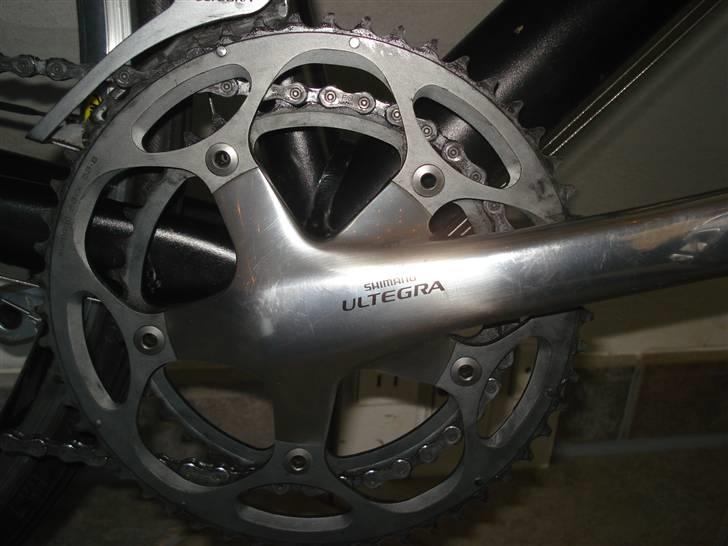 Principia rex  billede 11