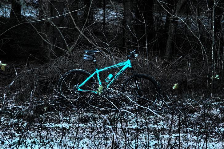 Bianchi Doss 6600 billede 18