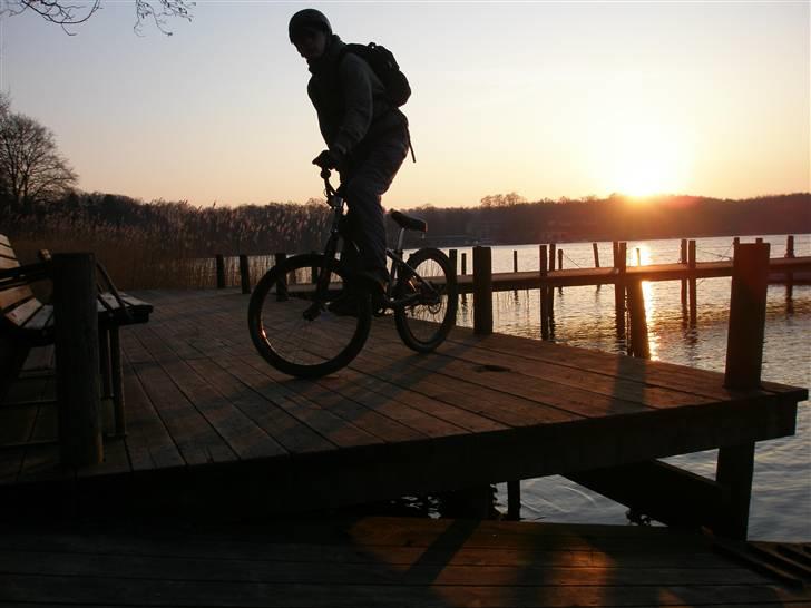 Revell 250R billede 6