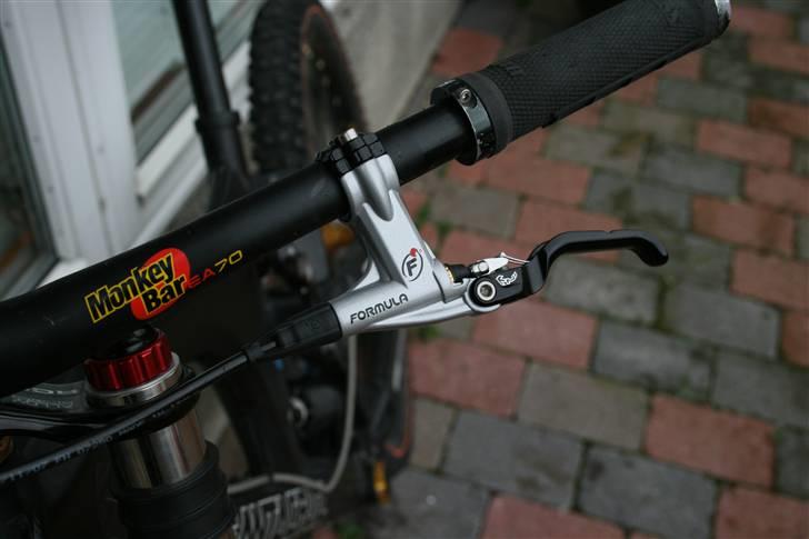 Santa Cruz V10 2007 billede 10