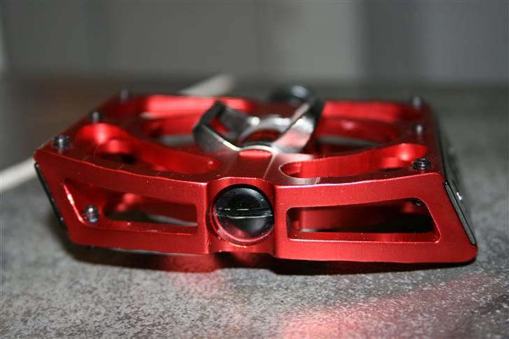 Santa Cruz V10 2007 billede 14