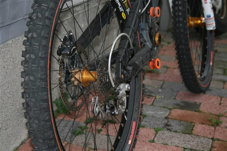 Santa Cruz V10 2007 billede 17