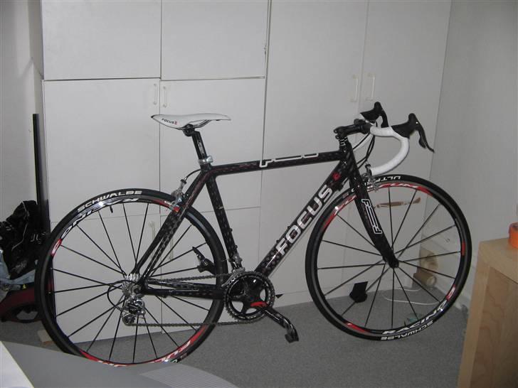 Focus cayo expert campa  billede 1