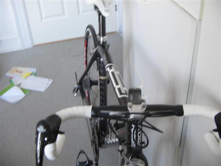 Focus cayo expert campa  billede 3
