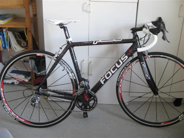 Focus cayo expert campa  billede 7