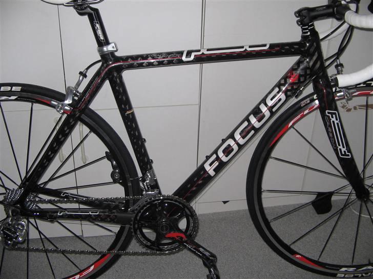 Focus cayo expert campa  billede 9