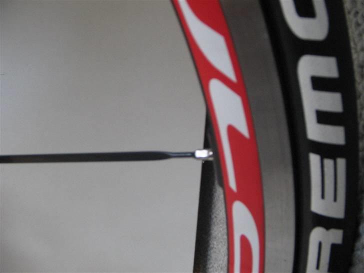 Focus cayo expert campa  billede 10
