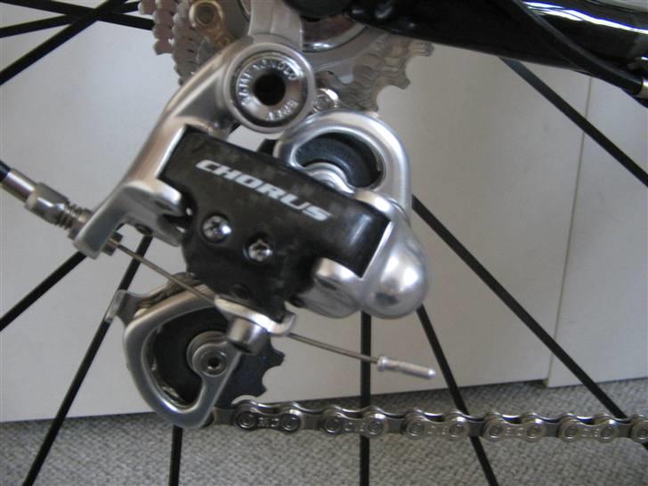 Focus cayo expert campa  billede 13