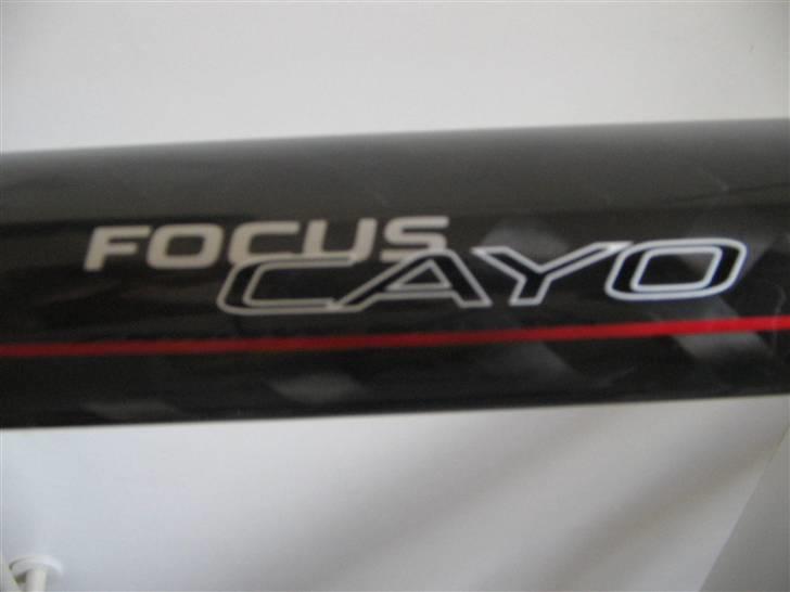 Focus cayo expert campa  billede 17