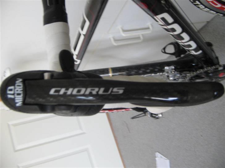Focus cayo expert campa  billede 18