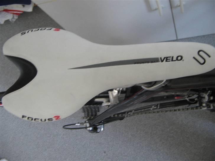 Focus cayo expert campa  billede 19