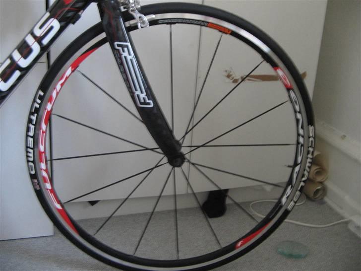 Focus cayo expert campa  billede 20