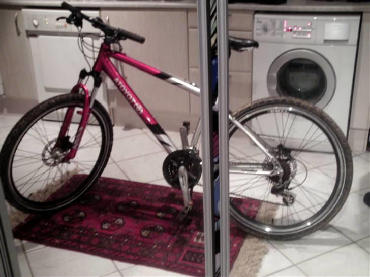 Toyota NoName - Double Disc billede 17