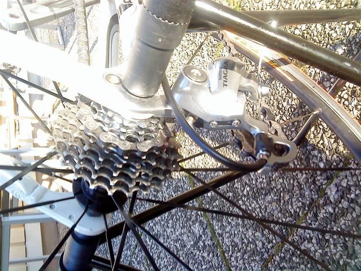 Busetto Tour Pro (SOLGT) billede 11