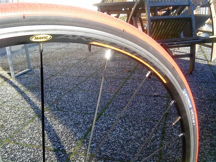 Busetto Tour Pro (SOLGT) billede 14
