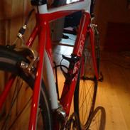 Trek 1,5