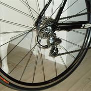 Merida Road Race 903