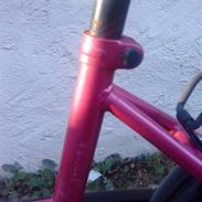 Forza artofbikes