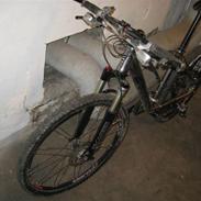 24 Bicycles Team Racing