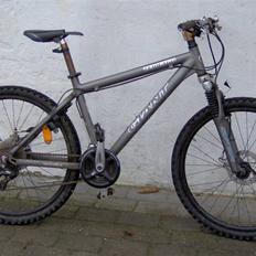 Giant terrago